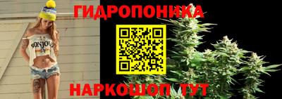 jwh Кандалакша
